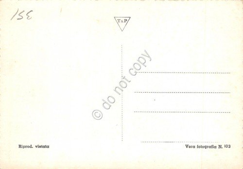 Cartolina Lago Maggiore Stresa giardino | Immagine Gallery 2