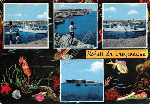 Cartolina Lampedusa vedute navi panorama 1969 | Immagine principale