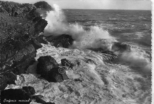 Cartolina Lavagna mareggiata Timbro Colonia Arnaldi 1951 | Immagine principale