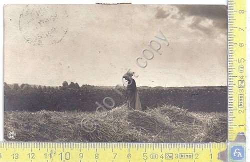 Cartolina Lavoro nei campi - Vg Italia Brasile doppia affrancatura … | Immagine principale