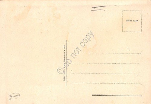 Cartolina Lecco Panorama anni '20