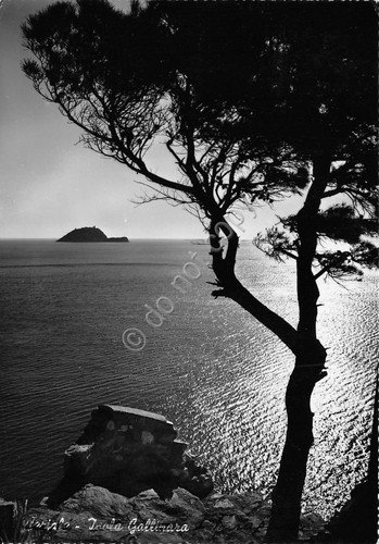 Cartolina Lerici Isola Gallinara timbro a targhetta Giornata Forze Armate | Immagine Gallery 2