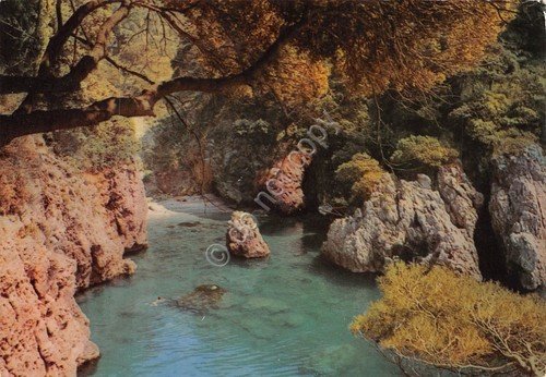 Cartolina Lerici La Caletta (La Spezia)