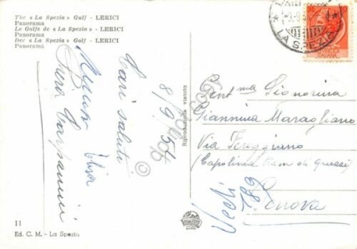Cartolina Lerici panorama dall'alto 1954