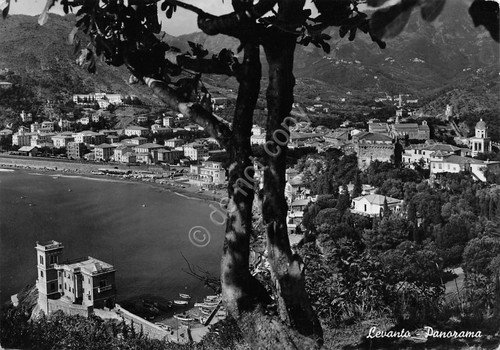 Cartolina Levanto Panorama dall'alto spiaggia case 1953 grinze | Immagine principale