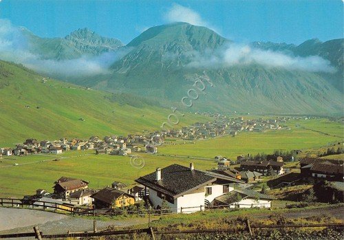 Cartolina Livigno panorama