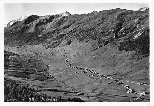 Cartolina Livigno Panorama NVG (Sondrio) | Immagine principale