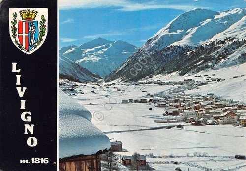 Cartolina Livigno panorama paese case stemma 1970 | Immagine principale