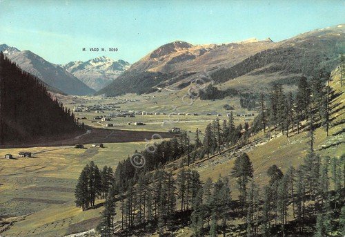 Cartolina Livigno Panorama timbro Pensione Alpina al retro | Immagine principale