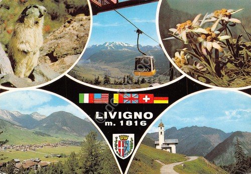 Cartolina Livigno vedute varie con stemma funivia bandiere stelle alpine … | Immagine principale