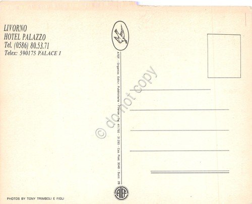 Cartolina Livorno Hotel Palazzo notturno stemma anni '80