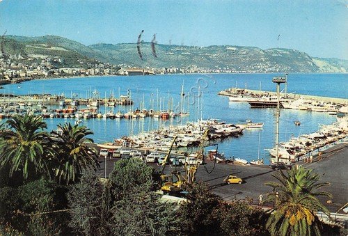 Cartolina Loano Porto 1981 (Savona) | Immagine principale