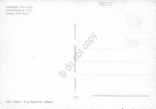 Cartolina Lodi vedute varie | Immagine Gallery 2