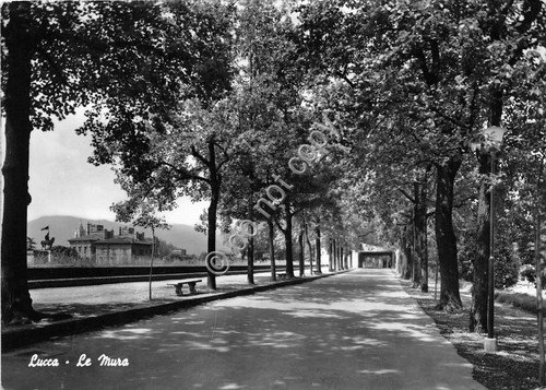 Cartolina Lucca le Mura 1962 | Immagine principale