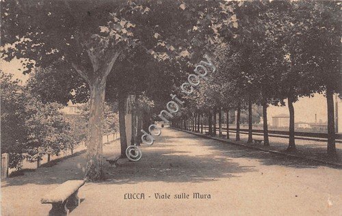 Cartolina Lucca Viale sulle mura 1914 | Immagine principale