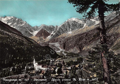 Cartolina Macugnaga Panorama case e Monte Rosa colorata | Immagine Gallery 1