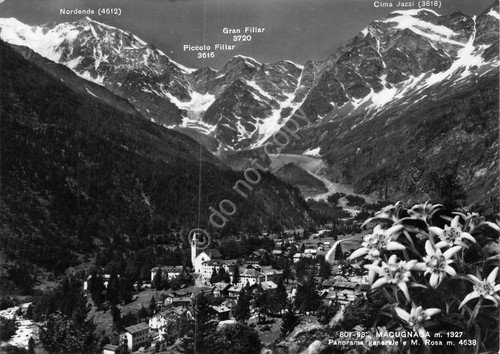 Cartolina Macugnaga panorama e Monte Rosa 1957 (Novara) | Immagine principale