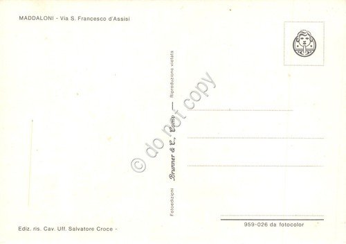 Cartolina Maddaloni Via S. Francesco d' Assisi case auto bus …