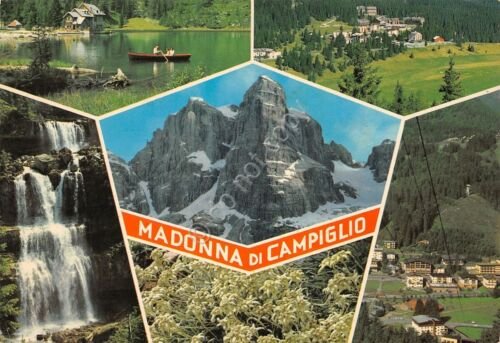 Cartolina Madonna di Campiglio 5 vedute (Trento)