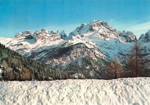 Cartolina Madonna di Campiglio panorama timbro a targhetta PT numero … | Immagine Gallery 2