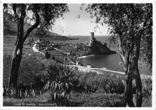 Cartolina Malcesine Lago di Garda panorama verso il lago 1952