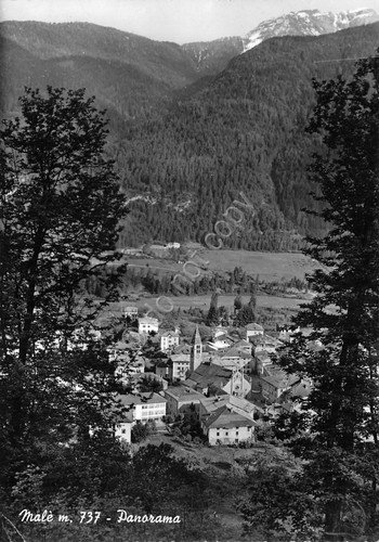 Cartolina Malè Panorama 1961 (Trento)