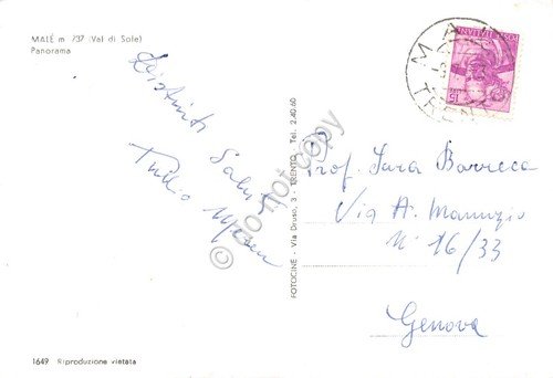Cartolina Malè panorama 1963