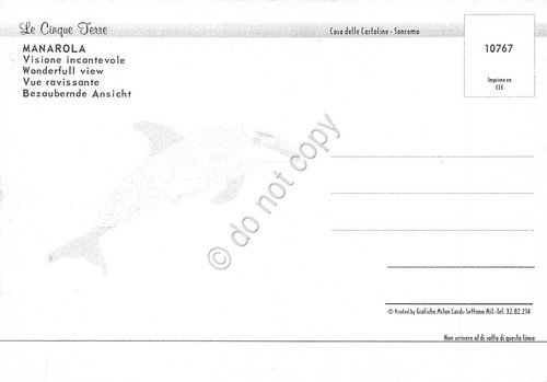 Cartolina Manarola panorama paese