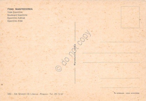 Cartolina Manfredonia Viale Sipontino strada auto case anni '70