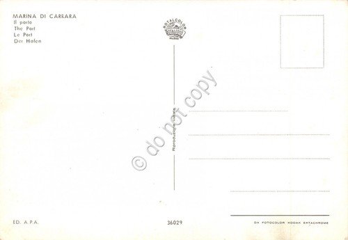 Cartolina Marina di Carrara Porto | Immagine Gallery 2