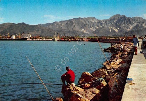 Cartolina Marina di Carrara Porto pescatori | Immagine principale