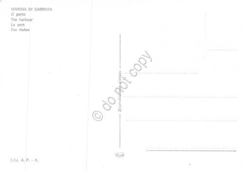 Cartolina Marina di Carrara Porto pescatori | Immagine Gallery 2