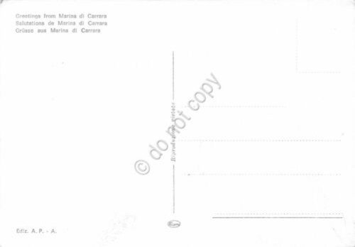 Cartolina Marina di Carrara vedute e notturno (Massa) | Immagine Gallery 2