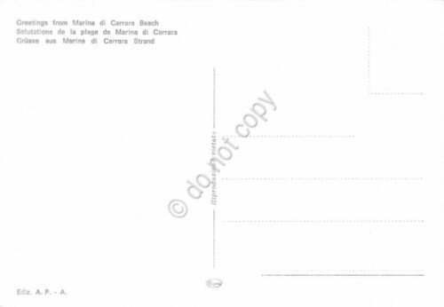 Cartolina Marina di Carrara vedute e spiaggia (Massa) | Immagine Gallery 2