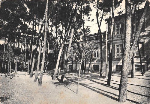 Cartolina Marina di Massa Colonie Ettore Motta Gruppo Edison 1953