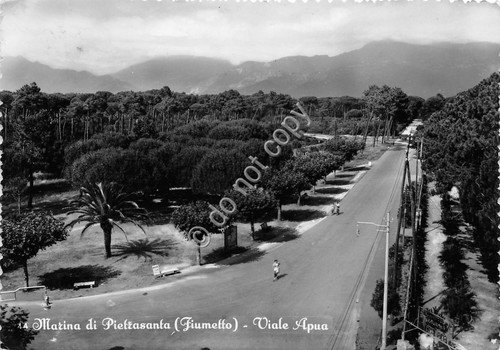 Cartolina Marina di Pietrasanta Fiumetto Viale Apua 1954