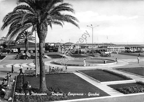 Cartolina Marina di Pietrasanta Tonfano Lungomare e giardini anni '60 …