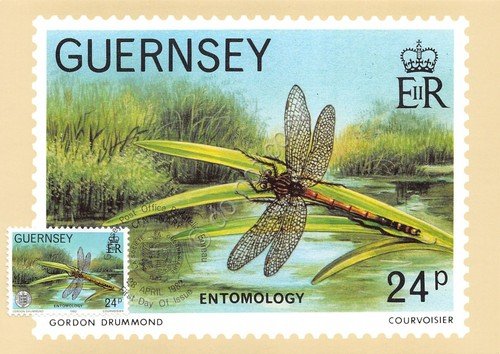 Cartolina Maximum Guernsey Entmology 1982 | Immagine principale