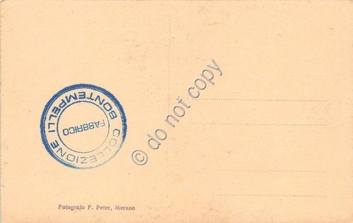 Cartolina Merano ?? vista parziale della città | Immagine Gallery 2