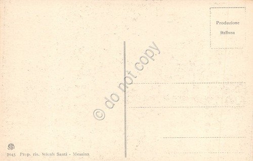 Cartolina Messina La catastrofe Porta Messina Micali Santi 7045 | Immagine Gallery 2