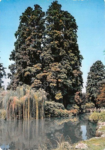 Cartolina Milano Il Parco | Immagine principale