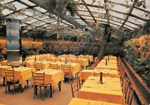 Cartolina Milano Via Senato Ristorante Alfio veranda | Immagine principale