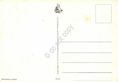 Cartolina Misurina vedute panorama e animali (Belluno) | Immagine Gallery 2