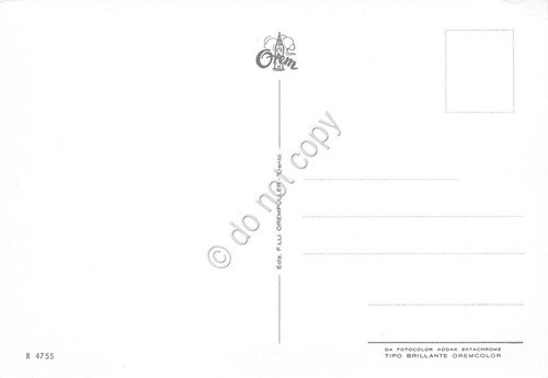Cartolina Moena vedute varie paese anni '80