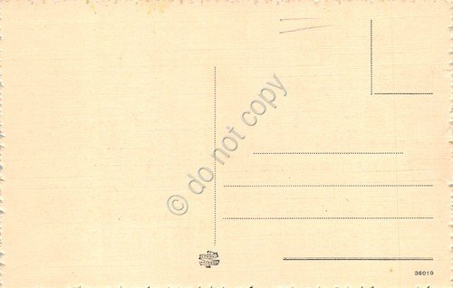 Cartolina Momegliano Castello anni '20