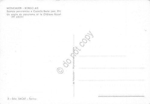 Cartolina Moncalieri Borgo Ale Scorcio panoramico e Castello reale ED …