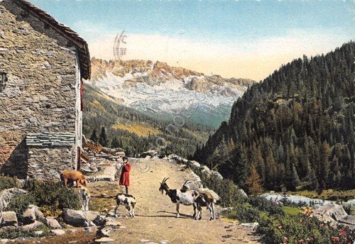 Cartolina Montagna casale bambina con capre 1957 | Immagine principale