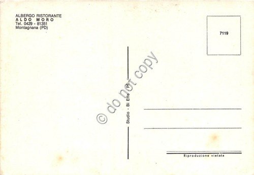 Cartolina Montagnana Albergo Aldo Moro vedutine