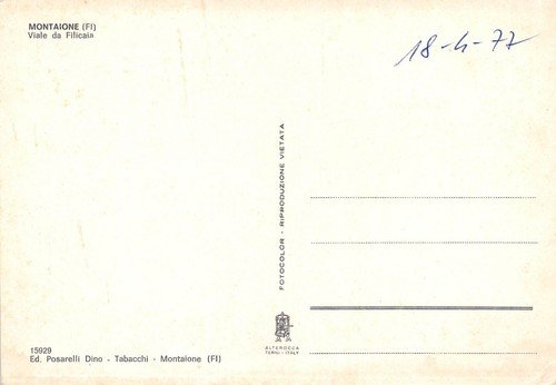 Cartolina Montaione Viale da Flilicaia (Firenze) | Immagine Gallery 2