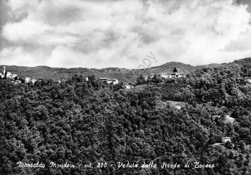 Cartolina Montaldo Mondovì Veduta dalla strada di Bossea 1983 | Immagine principale